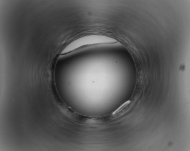 X0000103300568200808291408