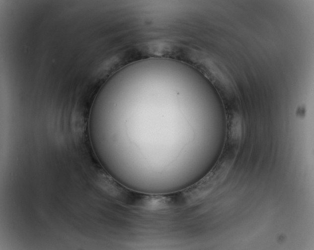 X0000103300569200808291408