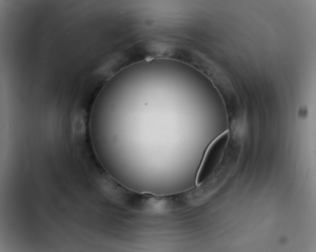 X0000103300570200808291408
