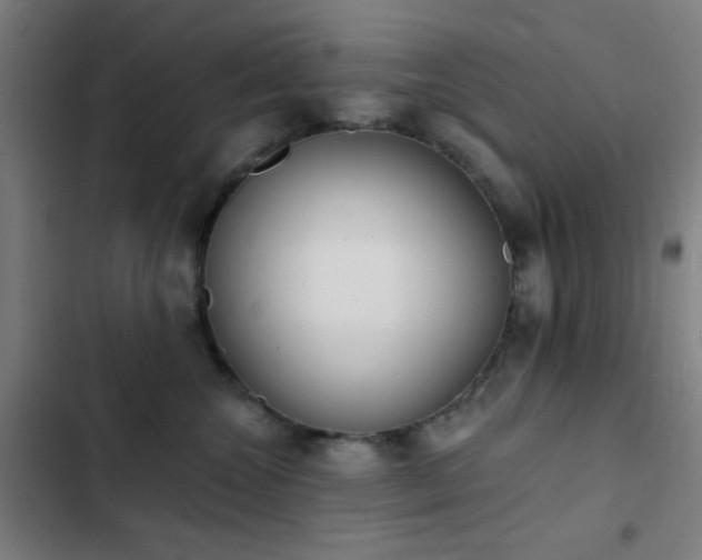 X0000103300572200808291408