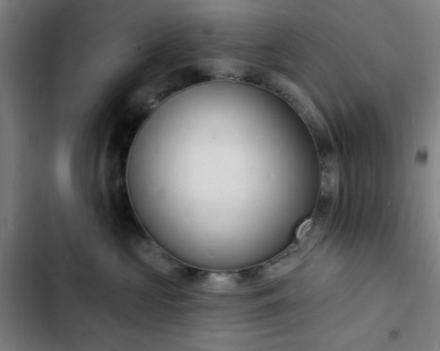 X0000103300573200808291408