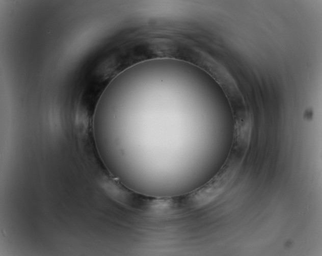 X0000103300574200808291408