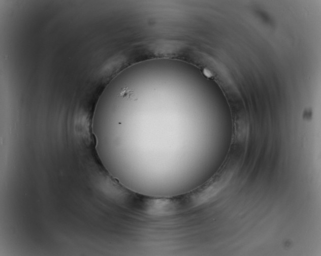 X0000103300575200808291408