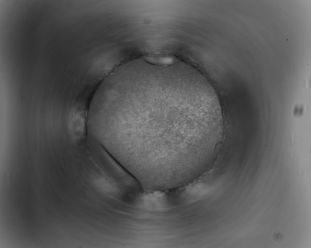 X0000103300576200808291408