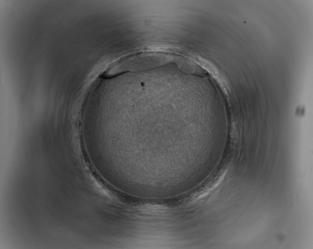 X0000103300577200808291407