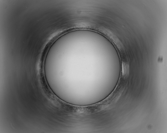 X0000103300579200808291407