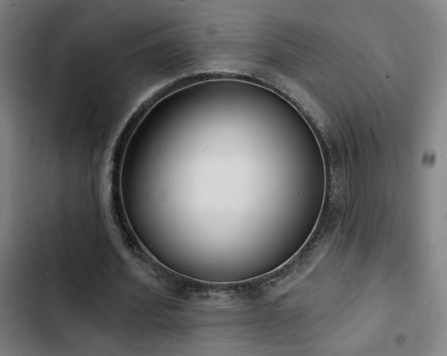 X0000103300580200808291407