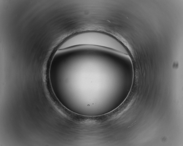 X0000103300581200808291407