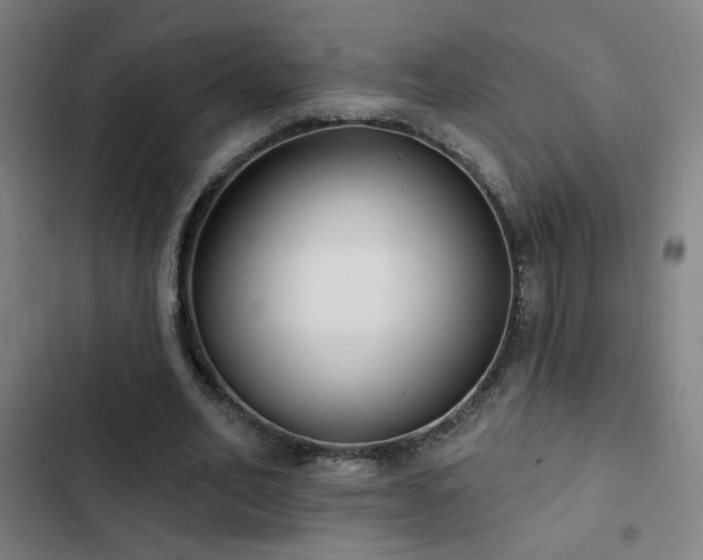 X0000103300582200808291407