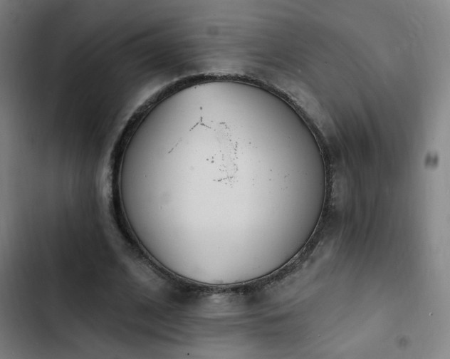 X0000103300584200808291407