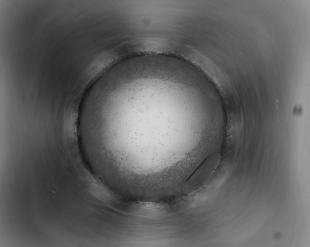 X0000103300585200808291407