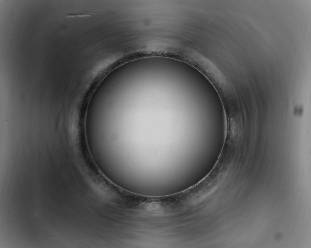X0000103300588200808291407