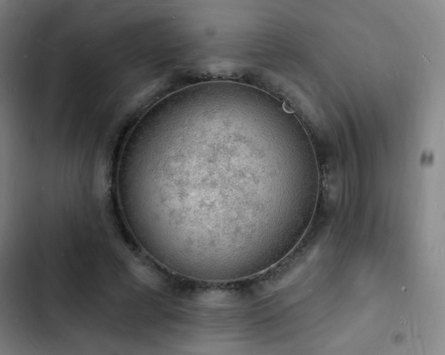X0000103300593200808291407
