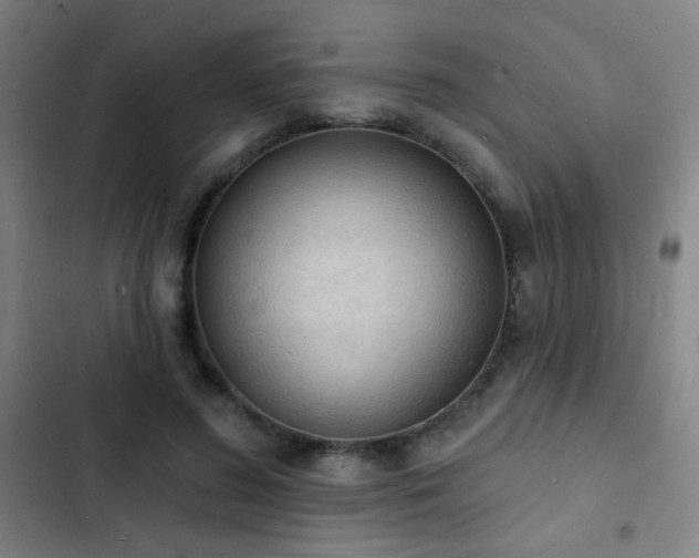 X0000103300596200808291407