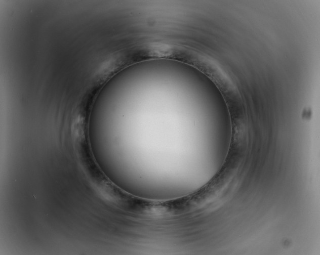 X0000103300598200808291407