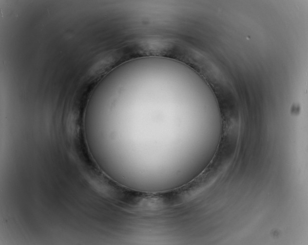 X0000103300599200808291407