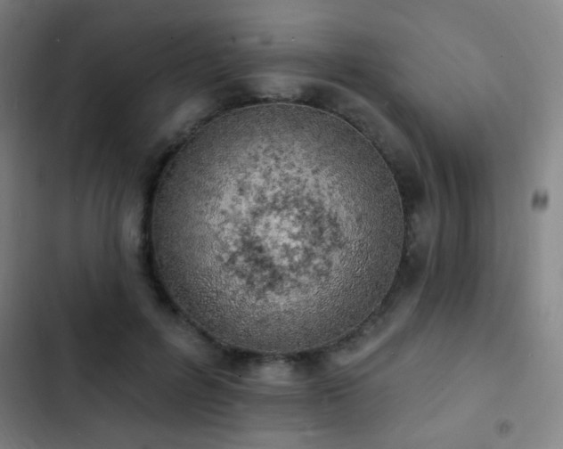 X0000103300600200808291407