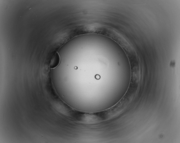 X0000103300605200808291407