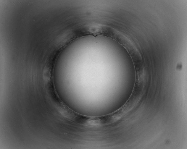 X0000103300606200808291407