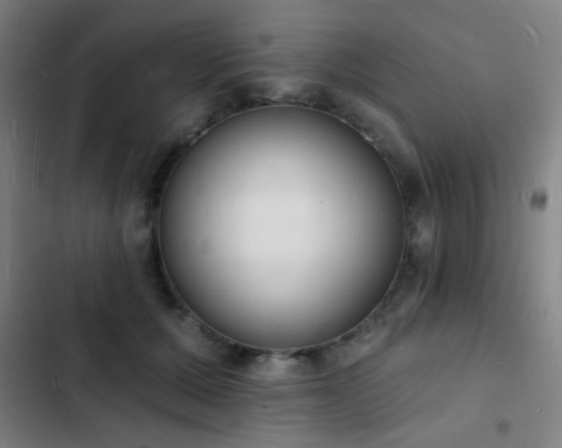 X0000103300607200808291407