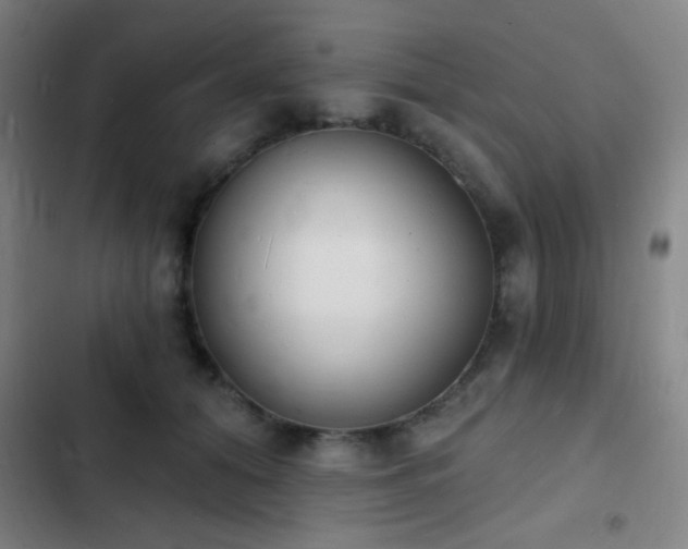 X0000103300608200808291407