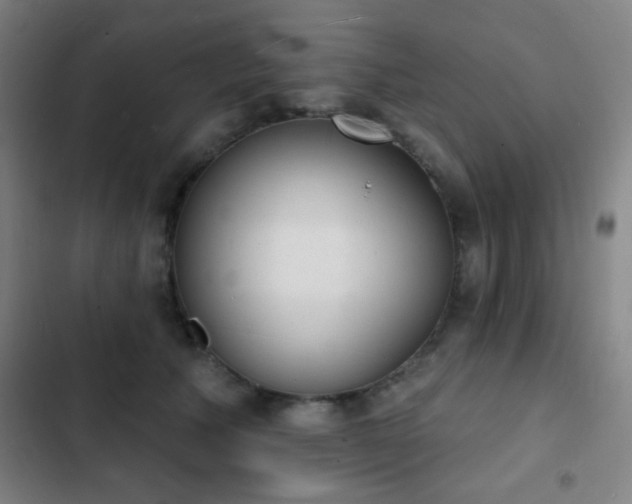 X0000103300609200808291407