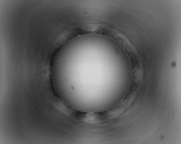 X0000103300612200808291407