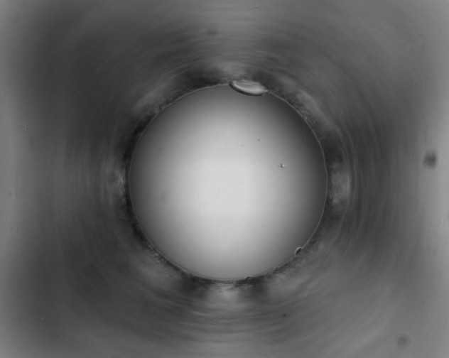 X0000103300613200808291407