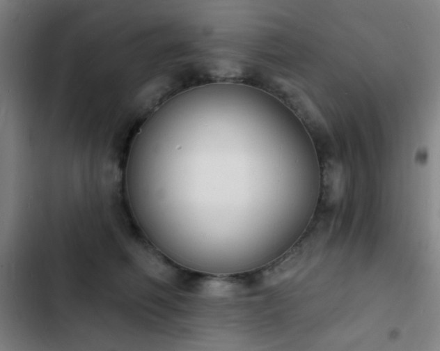 X0000103300614200808291407
