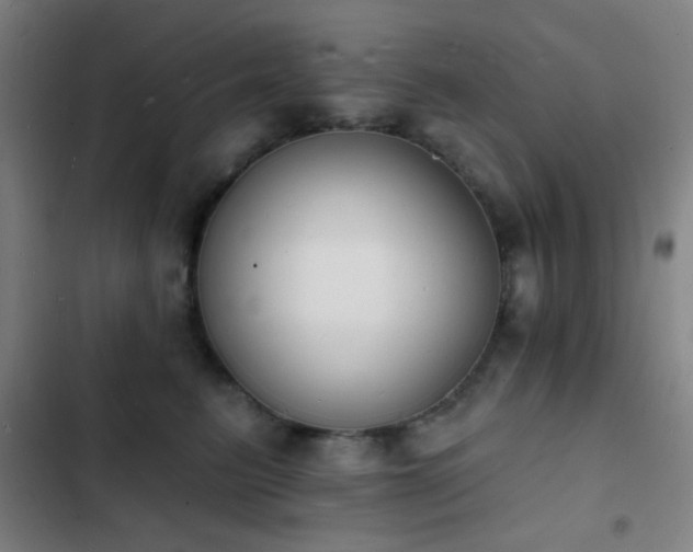 X0000103300615200808291407