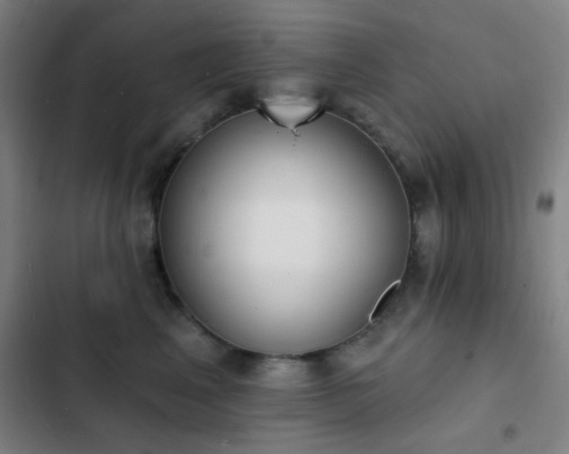 X0000103300617200808291407