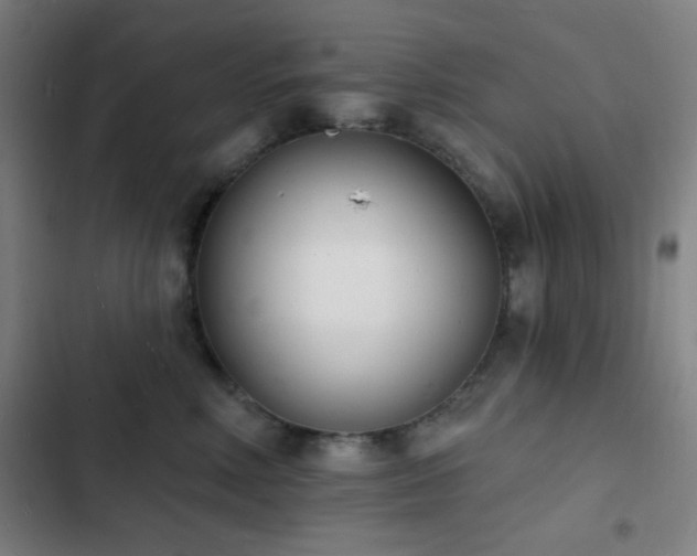 X0000103300618200808291407