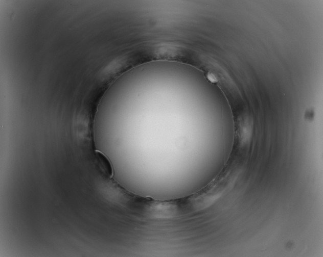 X0000103300619200808291407