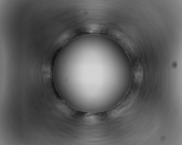 X0000103300620200808291407