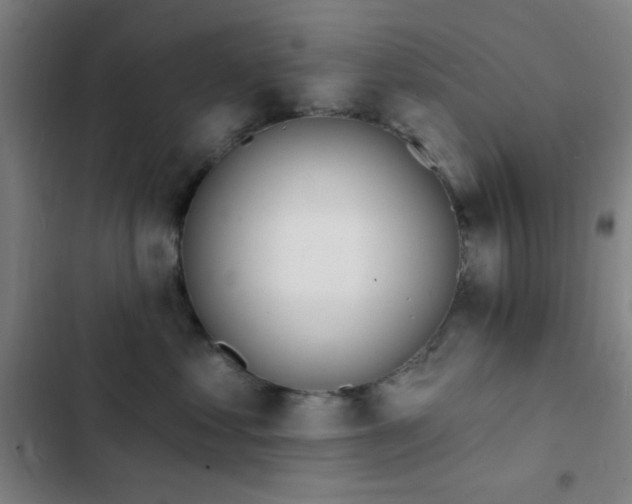 X0000103300621200808291407