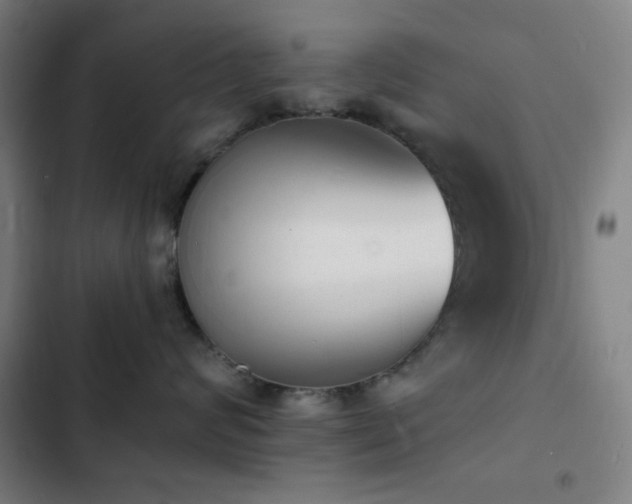 X0000103300624200808291407