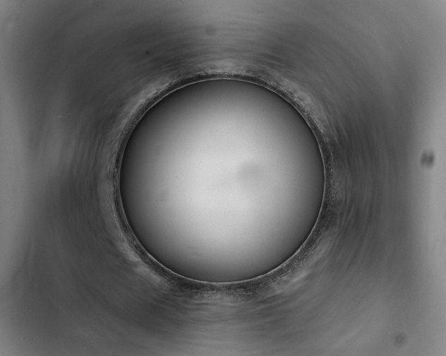X0000103300625200808291406