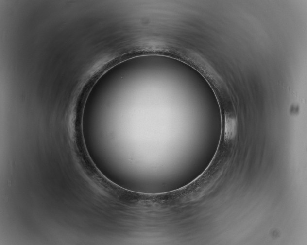 X0000103300627200808291406