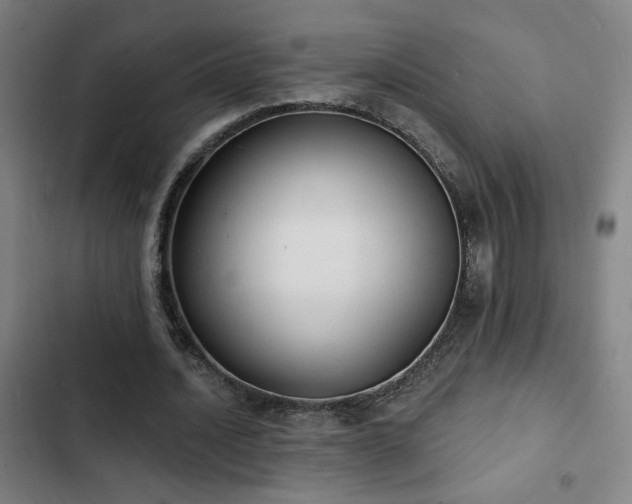X0000103300628200808291406