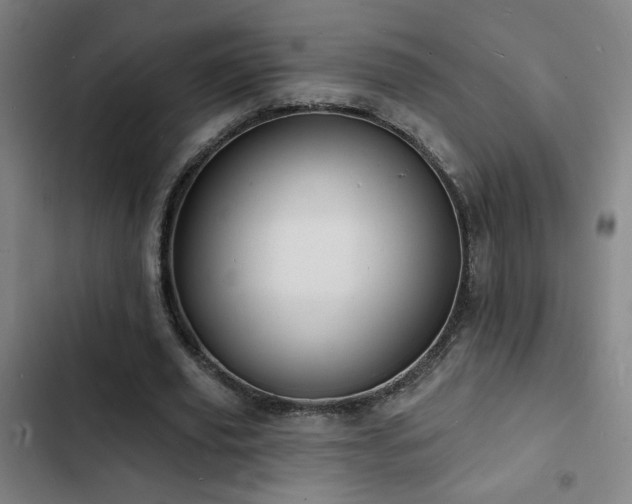 X0000103300629200808291406