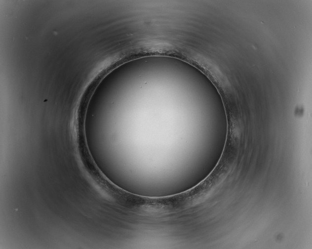 X0000103300630200808291406