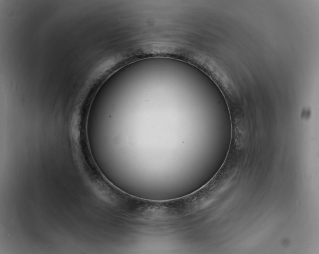 X0000103300631200808291406