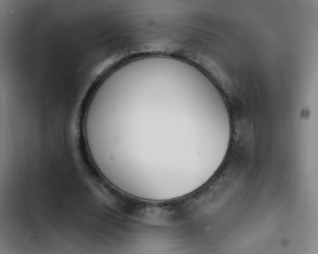 X0000103300632200808291406