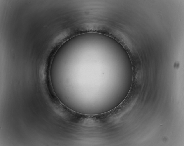 X0000103300635200808291406