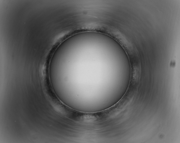 X0000103300636200808291406