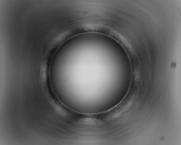 X0000103300637200808291406