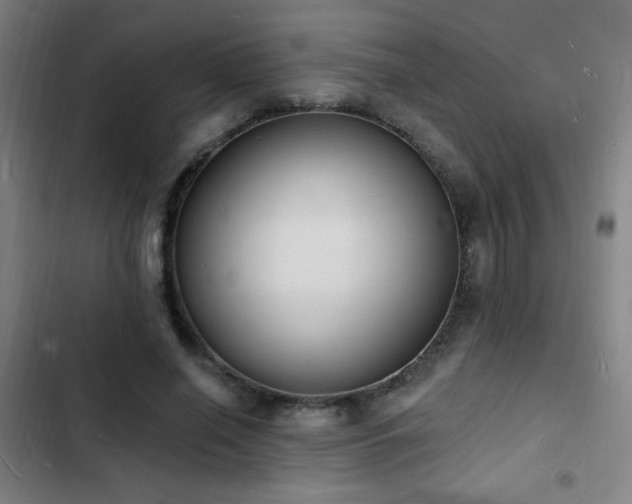 X0000103300638200808291406