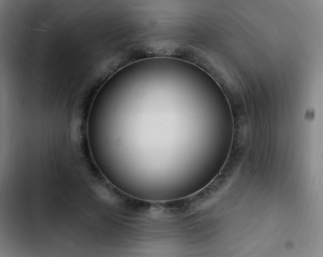 X0000103300641200808291406