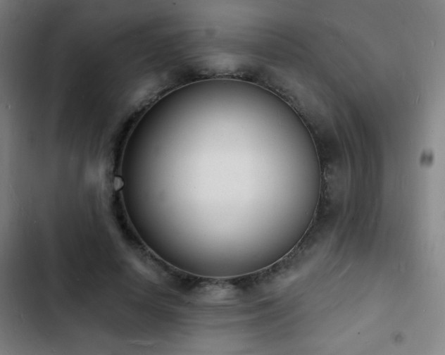 X0000103300642200808291406