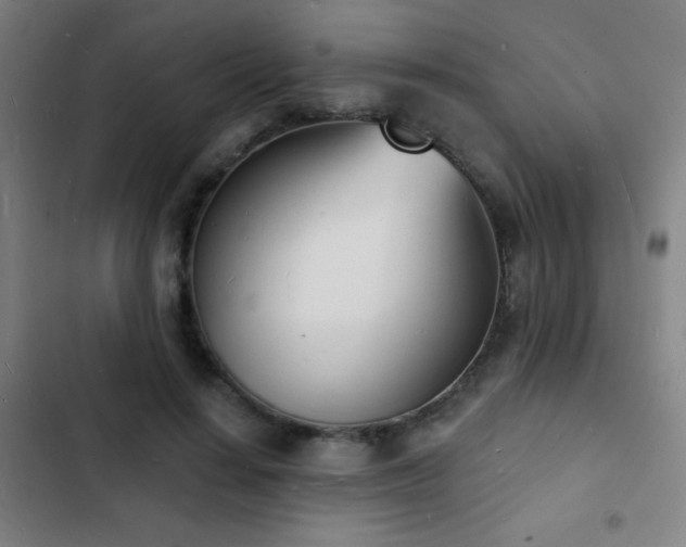 X0000103300644200808291406